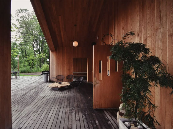 GoNano for Wood Surfaces 